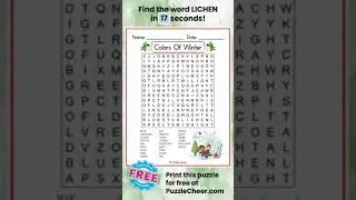 Winter Colors Word Search-Find LICHEN #timedgame #wordsearch #winter #wordgames #quiz #puzzlegame