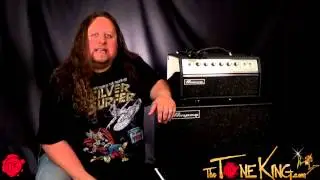 Audix i5 Microphone & Cab Grabber by Rikk Beatty!