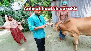 Arthritis | Upward Fixation of Patella | Animal health carekb