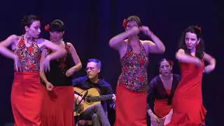 Flamenco Metis Spectacle Montauban 2018 