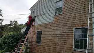 Painting Shingles