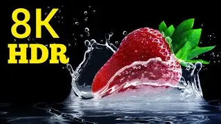 8K macro video| 8K Macro sony video| object macro|The World in Macro Shots in 8K ULTRA HD / 8K TV