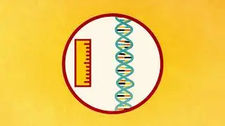 DNA: Blueprints of Life