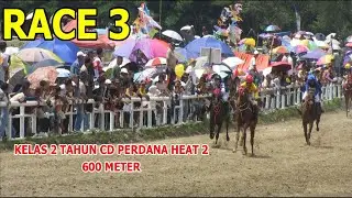 RACE 3 || CLASS 2 YEAR FIRST CD HEAT 2 - SAWAHLUNTO DERBY HORSE RACING 2025