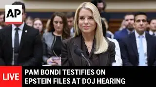 LIVE: Pam Bondi testifies at DOJ oversight hearing