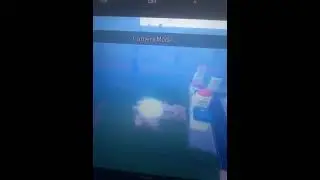 DBOG|new leak #roblox #dragonball #dbog