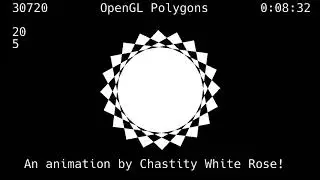 216000 frames of Polygon Spinning