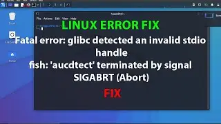 LINUX ERROR FIX: Fatal error: glibc detected an invalid stdio handle