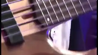 Dsk Slap bass