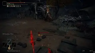 The Madness Meta in Elden Ring makes people rage