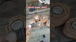 JERAT BABI, UMPAN KELAPA  PART 3  #hamababi  #hunting #sawit #jeratbabi