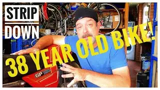SUZUKI GP100 - LET THE RESTORATION BEGIN! #1