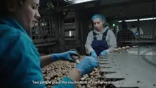 Heereco about the Christiaens Drawer System