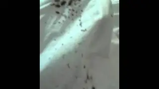 20160211 091028
