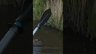 Любим мы такие речушки. #river #каналпетрович #лето2025 #kayak #активныйотдых #природа #beautiful