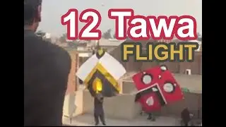 Two 12 tawa flights - Basant Faisalabad 2019