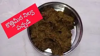కొత్తిమీర నిల్వ పచ్చడి ఇలా చేస్తే ఎక్కువ రోజులు ఫ్రెష్ ga ఉంటుంది l rice chapati ku 👌😋 combination