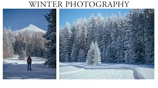 Relaxing Silent Snowshoeing & Photography In Utah's La Sal Mountains