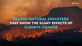 Scary Videos Show The True Horrors Of Climate Change | Floods, Heat Wave, Landslide | Tripoto