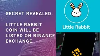 Secret revealed: Little Rabbit Coin will be listed on Binance Exchange