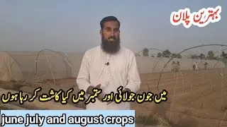 Me June, July aur September me kya lga rha hon? My crop plans |Profitable farming |IR FARM