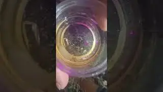 adulterated wax. #710 #oil #420