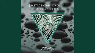 Aguanegra
