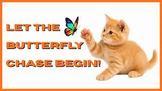 Catch the Butterfly! 🦋✨ - Cat Games