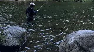 Lower Mainland Fishing Mission | Canada Day Edition