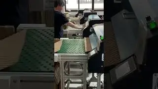 The factory is shipping paper bubble wrap in bulk.#packaging #unboxing #ecofriendly #paperbubblewrap