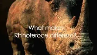 Rhinoferoce -  Interview with Irene Orszak