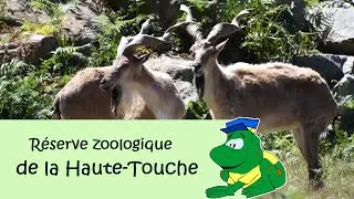 Réserve zoologique de la Haute-Touche, 2022