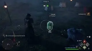 Hogwarts Legacy swamp beasts with toads and fwoopers