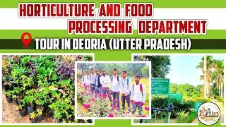 🌱 Hi-Tech Nursery | B.R.D.P.G. College, Deoria | Horticulture & Food Processing Tour 🌾