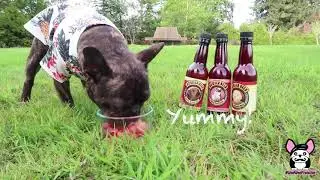 Bowser Beer - a beverage for dogs