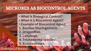 Microbes as Biocontrol Agents| Biocontrol Agents| Example of Microbial Biocontrol| Hindi/ Urdu|