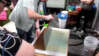 Handmade paper at Magnolia Editions