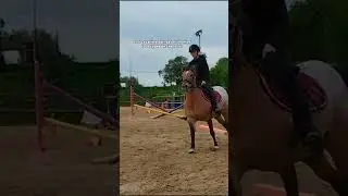 gamberger 🤓 #trend #horse #equestrian