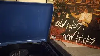old dog, new tricks - Vinyl Showcase