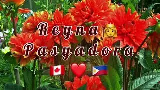 Ep. 123 MAMANGHA SA GANDA NG NIAGARA FALLS/RIVER| AMAZING SIGHTS| Most Beautiful Waterfall in ON🇨🇦