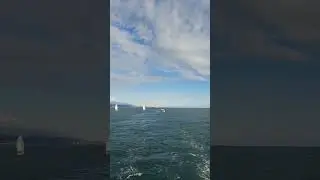 31 августа 2023 г.