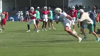 Dolphins bounce back against Lions on Day 2 of joint practices