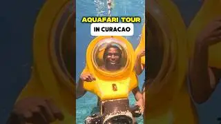 Link to my itinerary for Cura&ccedil;ao in the comments #travel