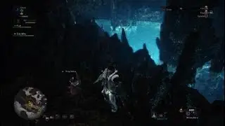 Monster Hunter: World Piscine Researcher Bounties - Rotten Vale (Goldenfish)