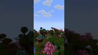 Complimentary Shaders vs BSL Shaders #minecraft #shaders #bettyboop #betterminecraft