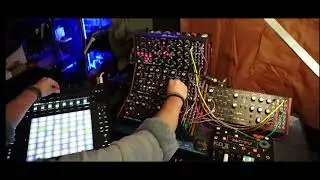 lemon haze (Ableton push 3, moog DFAM, mother-32, subharmonicon, and labyrinth) #moog #abletonpush3