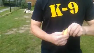 K9kiszelak Szolg&agrave;lati Kutyaiskola Onyx majoranna keres&egrave;s Med Clan