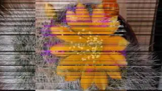 Dj Kintaro // Mix'o'Mania ( Part 6 of 7 )