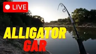 ALLIGATOR GAR FISHING TRINITY RIVER DALLAS TEXAS