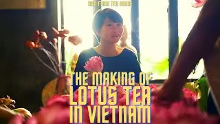 The Making of Lotus Tea - Hien Minh Tea House | Vietnam Vlog #10